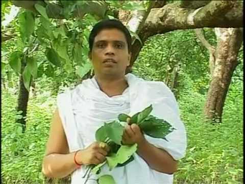 acharya balkrishna