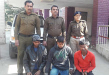 crime news