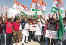 rohit nagar congress