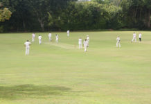 जल्द बनेगा डिस्ट्रिक क्रिकेट एसोसिएशन का अपना ग्राउंड district cricket association