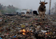 फरीदाबाद को गंदगी का सिल्वर मेडल, भाजपा निशाने पर polluted cities faridabad