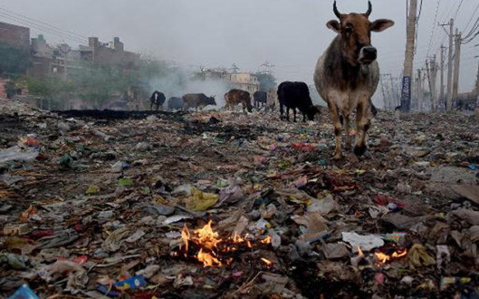 polluted cities faridabad