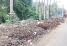 faridabad mayor suman bala