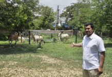 nitin singla congress faridabad