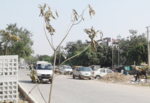 पर्यावरण सुधार के नाम पर लीपा-पोती, देखरेख के अभाव में सूख गए पौधे पर्यावरण