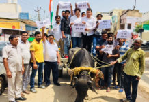 nitin singla congress faridabad,