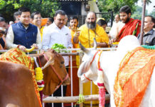 हर युग में गौ का महत्व रहा, गौ मां स्वरूपा है – स्वामी पुरुषोत्तमाचार्य shri sidhdata ashram,
