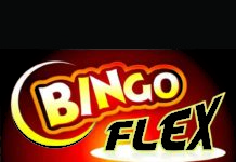 Bingo Flex