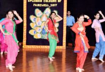 jiva pubilc school,