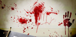 faridabad crime news