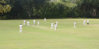 district cricket association