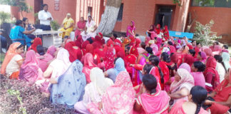 khasra or rubela