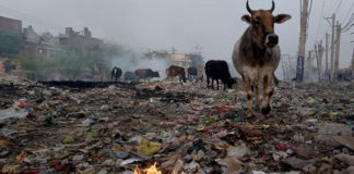 polluted cities faridabad