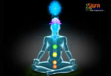 neurobic spa