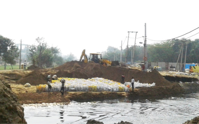 tuti puliya sector 25