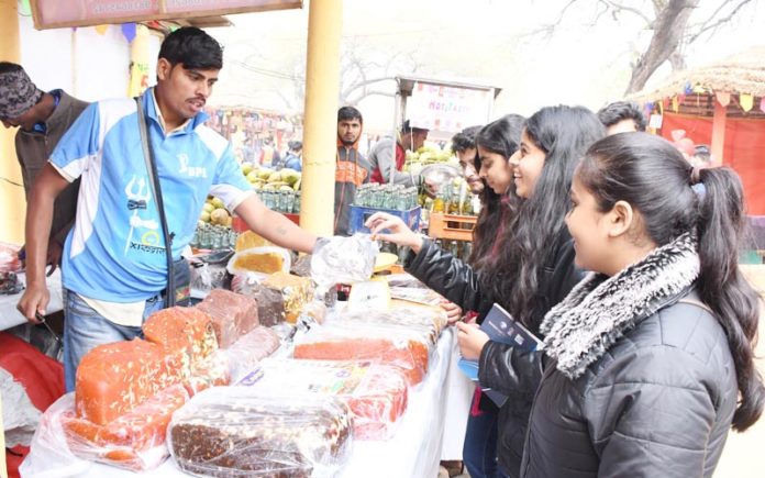 surajkund mela 2019