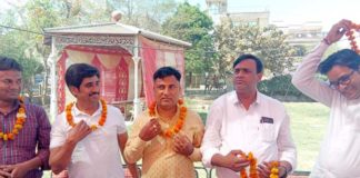tigaon